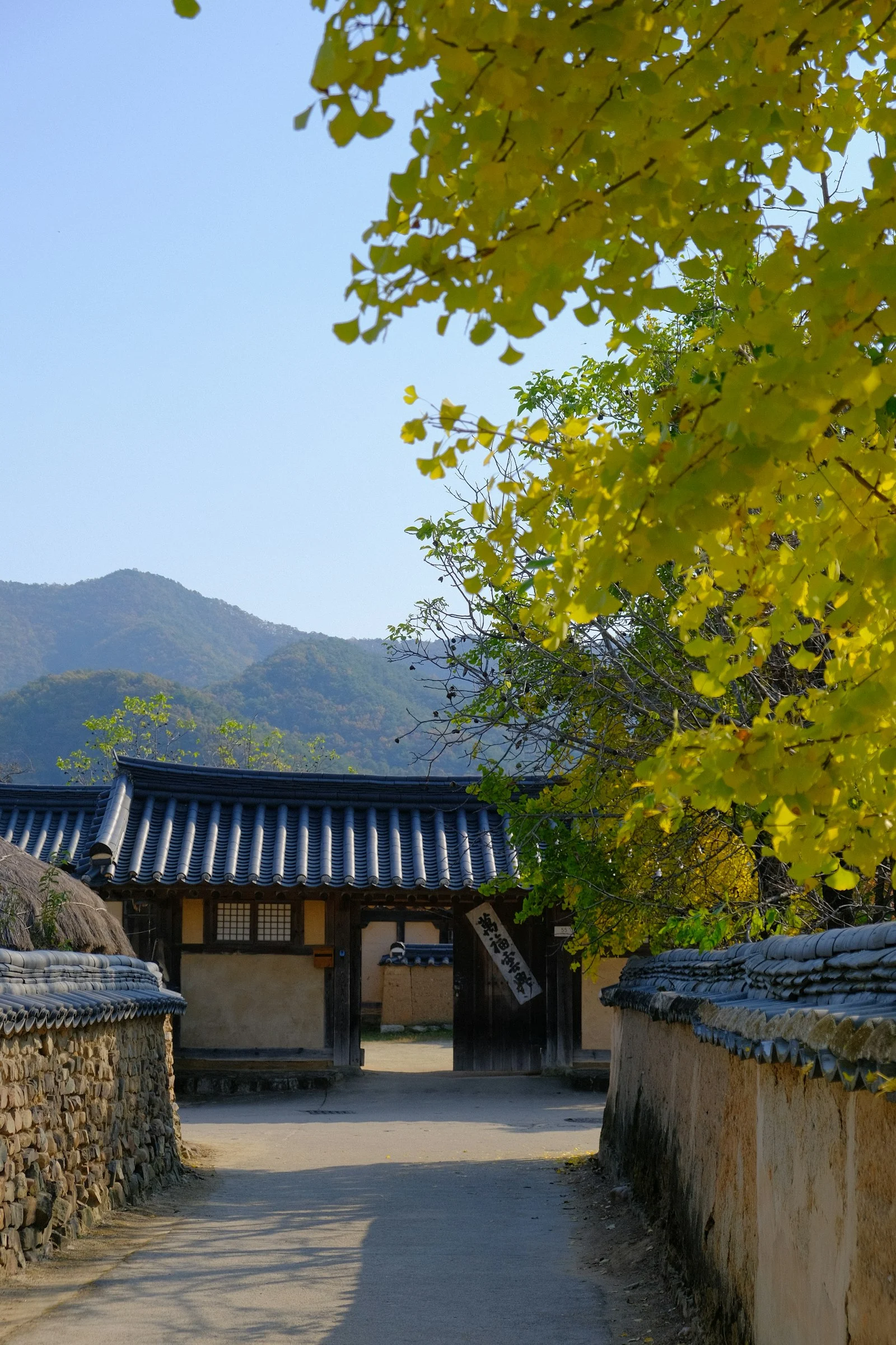 安東河回村