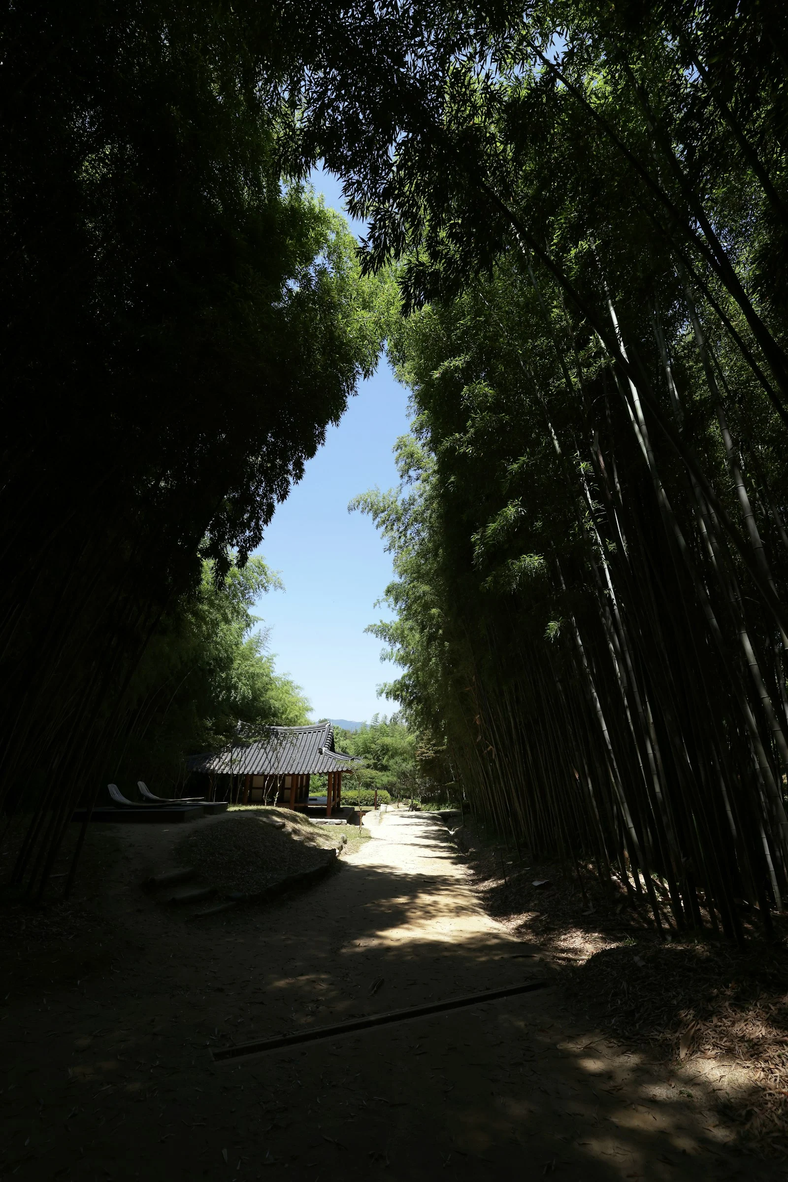 潭陽・竹緑苑